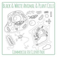 Jan 06, 2012 · animal bites and scratches (research laboratories or activities); Draw And Label Generalized Animal Cell Shefalitayal