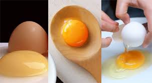 We did not find results for: 4 Modi Per Cucinare Le Uova Velocemente E Con Poche Calorie
