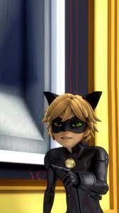 Miraculous Cat Noir Wallpaper Miraculous Ladybug Funny Cat Noir Wallpaper Miraculous Wallpaper