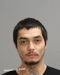 ESTRADA CHRISTOPHER VICENTE 12/29/2024