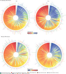 Yuda adalah seorang pengusaha kaya yang sukses, dan marisa adalah seorang ibu rumah tangga. Height And Body Mass Index Trajectories Of School Aged Children And Adolescents From 1985 To 2019 In 200 Countries And Territories A Pooled Analysis Of 2181 Population Based Studies With 65 Million Participants The Lancet
