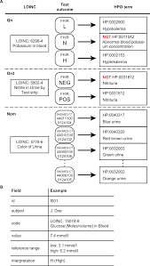 Jennings ist produktexperte mit rund 20 . Semantic Integration Of Clinical Laboratory Tests From Electronic Health Records For Deep Phenotyping And Biomarker Discovery Npj Digital Medicine