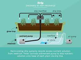 Types Of Hydroponics Systems Hydroponics Is A Way Of Cultivating By Brio Hydroponics Medium