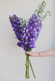 Top angebote für küche & haushalt.kostenlose lieferung möglich Your Guide To March Wedding Flowers