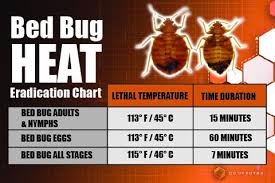 bed bug control safezone pest control llc