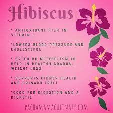 Hibiscus Most Commonly Made As A Tea This Flower Has A Tart Floral Flavor And Lots Of Health Benefits No In 2020 Yoga Food Cocktail Mixer Recipes How To Get Warm