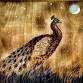 Introduction to Woodburning: Decorative Pyrography event image