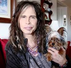 From 'Dream On' to 'Sweet Emotion,' Steven Tyler's charisma and artistry  continue to inspire music lovers of all ages