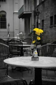Black And White With Pop Of Color Art Australia Yellow Flowers At New Orleans Open Cafe Explored Color Splash Photo Color Splash Photography Yellow Photography