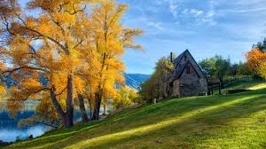 The natural history of new zealand began when the landmass zealandia broke away from the supercontinent gondwana in the cretaceous period. Picture New Zealand Queenstown Hdr Autumn Nature Grass 2560x1440