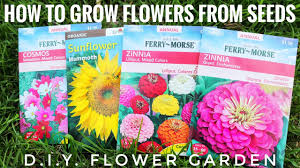 Check spelling or type a new query. Plant With Me How To Grow Flowers From Seeds D I Y Flower Garden Youtube