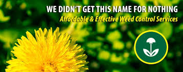 Looking for affordable lawn care? Weed Control Lawn Care Services Weed Man Richmond
