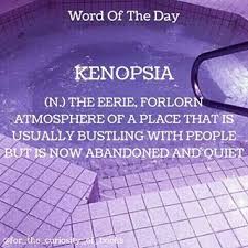 Find out all about related 📙: Word Of The Day Kenopsia Wordoftheday Forthecuriosityofbooks Words Books Literature Photooftheday School Definition Instagram Cool Words