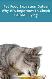 Do You Check Pet Food Expiration Date Food Animals Pets Expiration Dates On Food