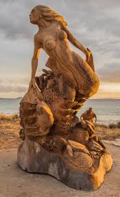 Image result for Dewevrella