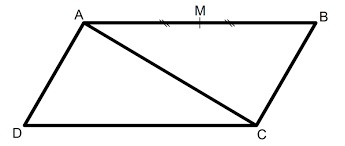 Se segmentele orientate absi respectiv. Operatii Cu Vectori Si Coliniaritatea A Doi Vectori