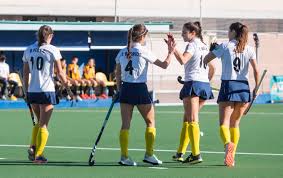 It was held from april to june 2019. El Club Jugara La Final De La Ehl De Hockey Femenino En Abril Ccvm