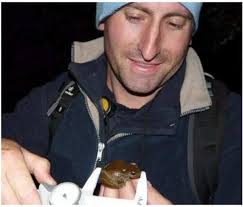 PDF) Biology and conservation of Fiji's iconic native amphibians