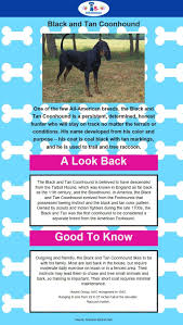 Black And Tan Dog Breeds List Black And Tan Coonhound Coonhound Manchester Terrier Black And Tan