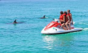 Jet ski rentals panama city beach. Panama City Beach Jet Ski Dolphin Tours Flippers Tours Rentals Inc