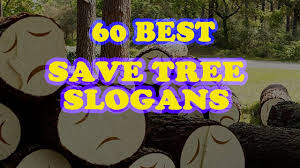 No one can imagine a world without trees. 60 Best Save Tree Slogans Youtube