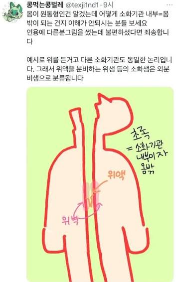 입과 똥구멍이 결국 하나의 구멍이라는 건, 몸은 가운데가 뚫린 원통형이라는 이론에서 시작된다. 이 이론을 조금 더 발전시키면 '소화기관은  몸의 외부다.'라는 말이 된다. 결국 음식물은 몸 외부에서 들어와 장(몸의 외부)에서 소화되어 내부로 들어올