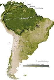 Map Of Enhanced Vegetation Index For South America And The Amazon South America Map Forest Map America Map