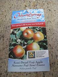 Visit the city plants program website at cityplants.org for more details and. Million Trees La Free Fruit Trees Gardenerd