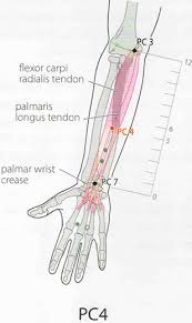 10 Healing Pressure Points To Treat Cardiovascular Disorders