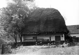 Check spelling or type a new query. 1986 SÄcuieu Case ÈÄrÄneÈti Din Secolul Xix Cutia Cu Vechituri A Lu Potra