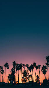 Hipwallpaper is considered to be one of the most powerful curated wallpaper community online. 45 Free Beautiful Summer Wallpapers For Iphone