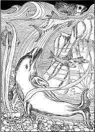 Dolphin Coloring Pages Dolphin Coloring Pages Ocean Coloring Pages Coloring Pages