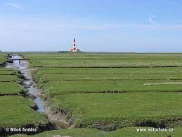 Ballum camping ist offiziell nationalpark partner und liegt am nationalpark wattenmeer, welcher teil der weltkulturerbeliste unesco ist. National Park Schleswig Holsteinisches Wattenmeer Photos National Park Schleswig Holsteinisches Wattenmeer Images Nature Wildlife Pictures Naturephoto