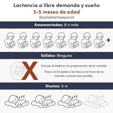 Horarios De Alimentacion Para Bebes Solid Starts