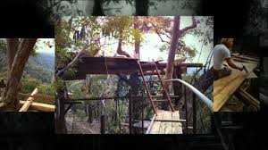 We did not find results for: Wollemi Wilderness Cabins Australia S Best Tree House Youtube