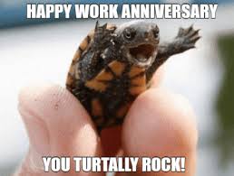 At memesmonkey.com find thousands of memes categorized into thousands of categories. Happy 10th Work Anniversary Meme Happy Work Anniversary Messages To Make Their Day Memorable When It S Been A Year After A Woohoo Otsutsukiistico