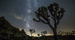 Geminid Meteor Shower Timelapse Workshop Dec 13 16 2015 Learn Astro Milky Way Ph Desert Photography National Parks Photography Joshua Tree National Park