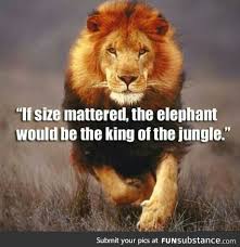 My class at the university went there last weekend. Majestic As F Ck Funsubstance Motivational Quotes For Men Lion Quotes Quotes