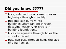 These natural built in regulators are linked in a web of feedback loops. Safe Facilities And Pest Management Ppt Download