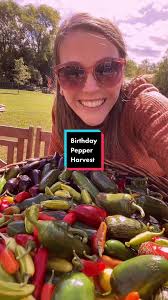 It’s my birthday and I’m back! We are expecting a frost pretty soon so I’m  picking all of peppers for the last pepper harvest of 2022! #birthday  #garden #homegrown #harvest #harvesttime ...