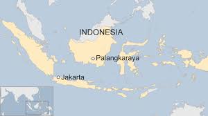 Check flight prices and hotel availability for your visit. Indonesia S Planning Minister Announces Capital City Move Bbc News