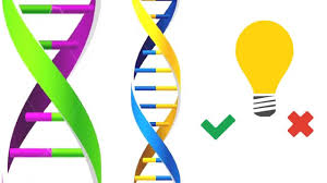 What Is Genetic Engineering Youtube