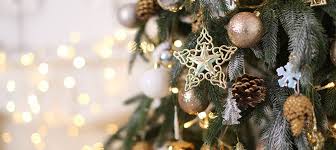 Of or relating to christmas. Szigetkozi Karacsonyi Pihenes Orchidea Hotel Lipot