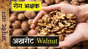 View uses, side effects, contraindications, key highlights, dosage & interaction. Wallnut Benefits Akhrot Khane Ke Fayde In Hindi Desi Dawa Ayurved S Makanan Anjing