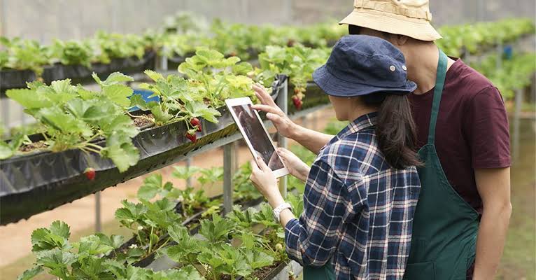 Agricultura Inteligente: Tendencias Agrícolas 2021 y Nuevas Tecnologías