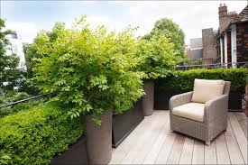 Dachterrasse Mit Holzdielen Und Kleine Hecke Als Sichtschutz Roof Garden Design Rooftop Garden Terrace Garden Design