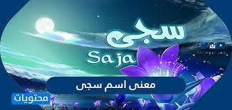 ما معنى اسم سجى في اللغة العربية والقران ووصفات حاملة الاسم موقع محتويات