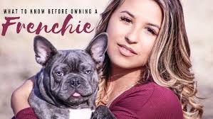Top Ten French Bulldog Color Trends (2020)