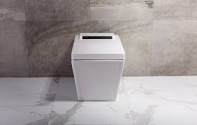 Best Bidet Toilet Seat In 2020 Reviews With Buying Guide