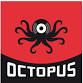 Winterland — Octopus